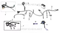 FAISCEAU ELECTRIQUE  125 sym-moto 2006 WOLF 125 (PA12B-6) 24