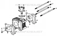 CYLINDRE pour SYM ALLO 50 (25 KMH) (AJ05W6-6) (L6) de 2016