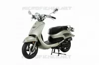 GOLD (S 481S) pour SYM ALLO 50 (25 KMH) (AJ05W6-6) (L6) de 2016