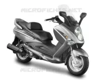 GRAY GY1 (GY 517S) pour SYM GTS 250 EVO (LM25W5-6) (K9-L0) de 2010